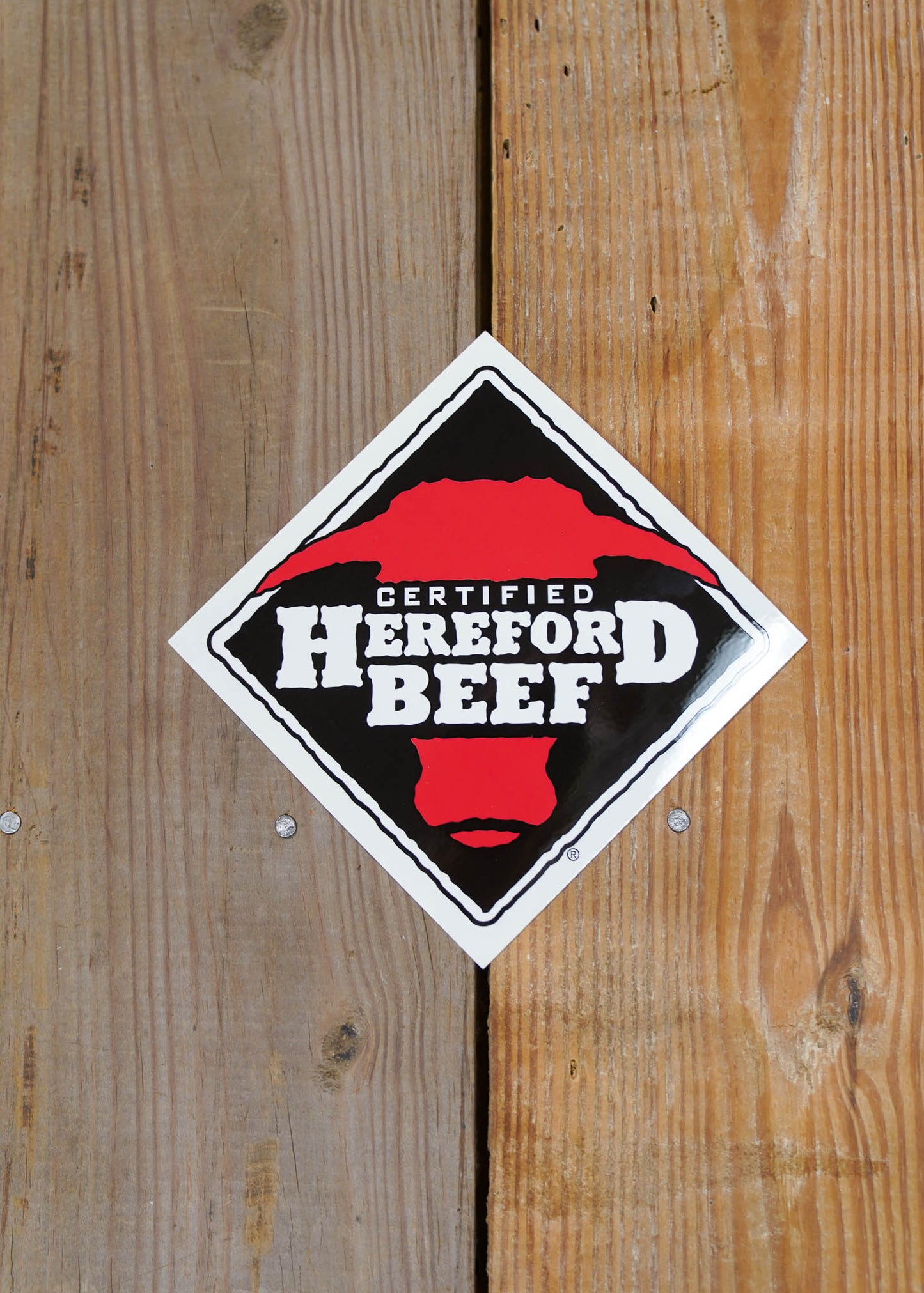 CHB 5" x 5" Decal