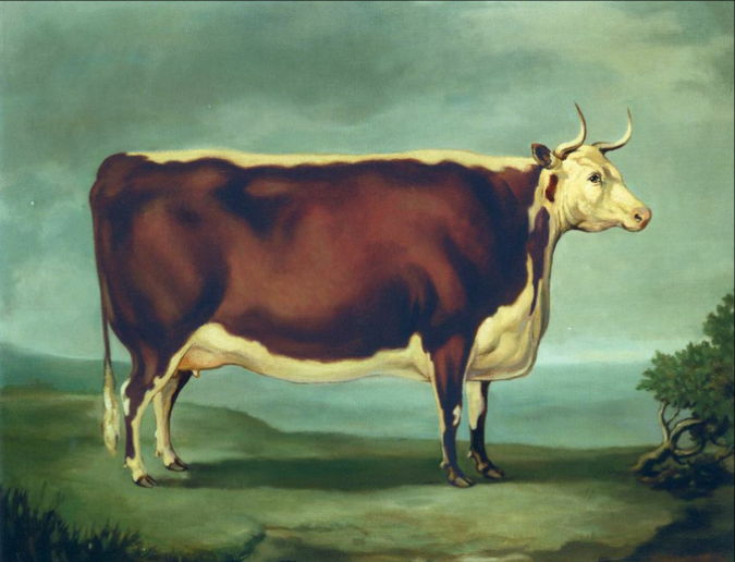 The Silver Cow Historic Hereford Print